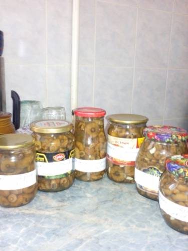 Рыжики маринованные-царские грибы