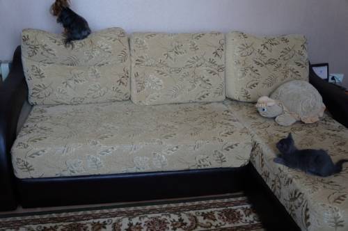 Продам срочно.