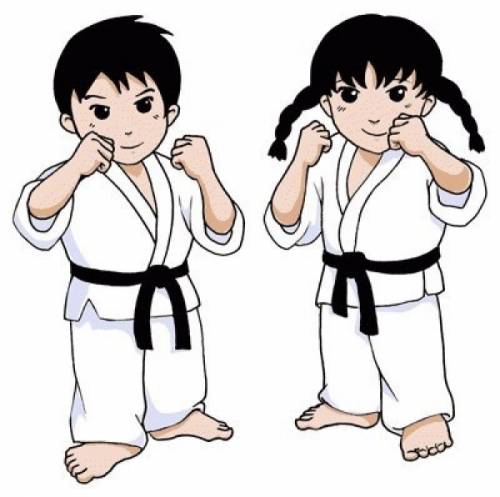 Karate kyokushinkai детям у вас дома