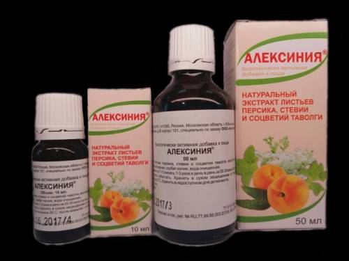 Алексиния - растительный иммуномодулятор