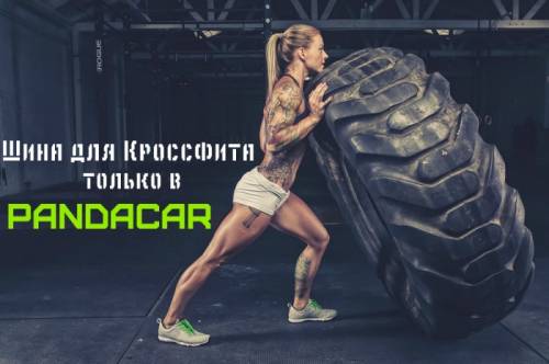 шина для кросфита