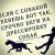 Дрессировка собак Воронеж 