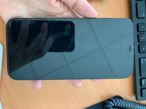Iphone 12 pro max