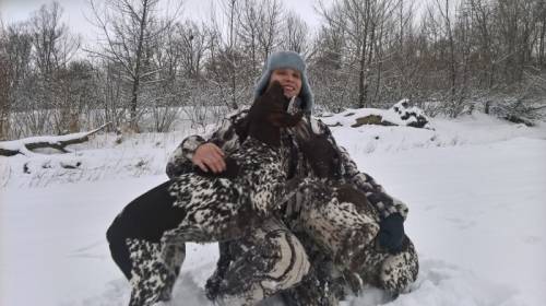 продаются щенки курхаара