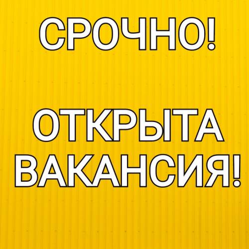 Работа в интернете