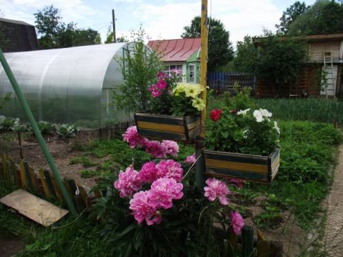 Дача на берегу реки Сумка