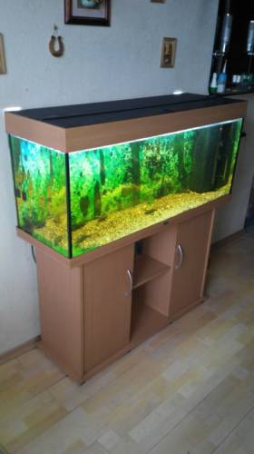 Аквариум JUWEL (240л)