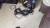 Гитара Greg Bennett   Комбик Marshall mg15dfx
