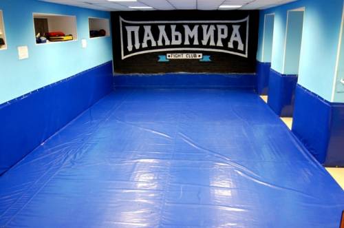 Клуб смешанных единоборств ПАЛЬМИРА