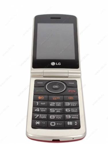Мобильный телефон LG G360 red