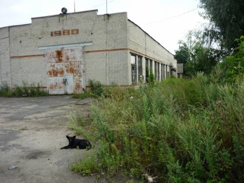 тамбовская  область
